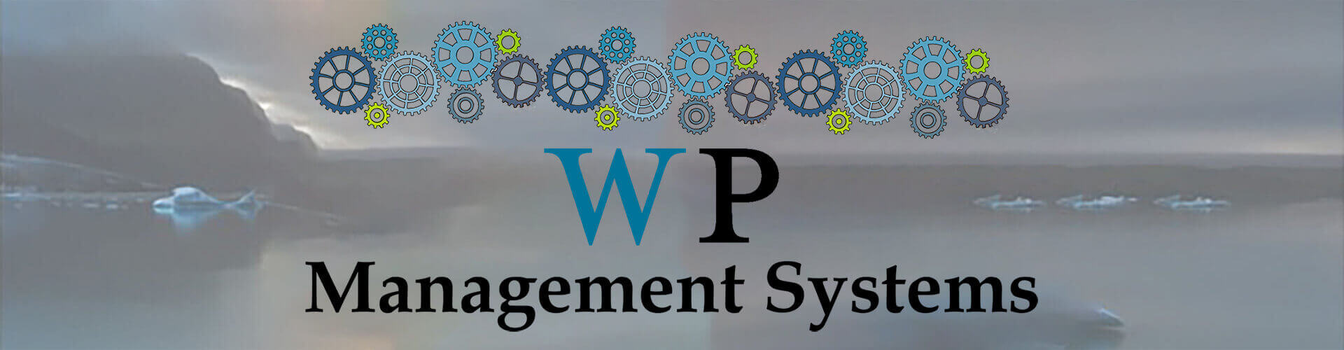 WordPress Management Systems Header Picture